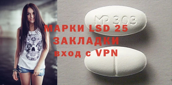 шишки Богородицк