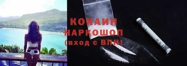 винт Богданович