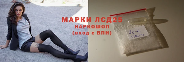 шишки Богородицк
