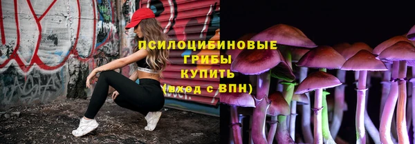 соль курить ск Богородск