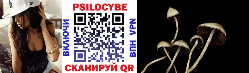 Псилоцибиновые грибы прущие грибы Дегтярск