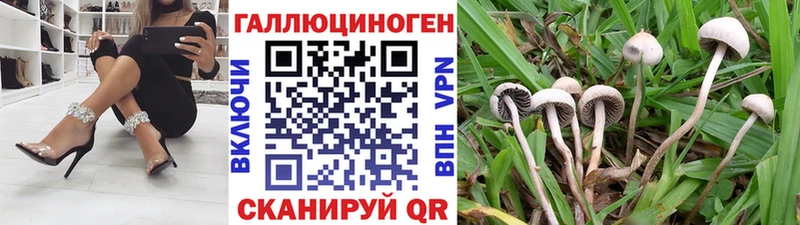 mega ссылки  Дегтярск  Псилоцибиновые грибы Psilocybe 