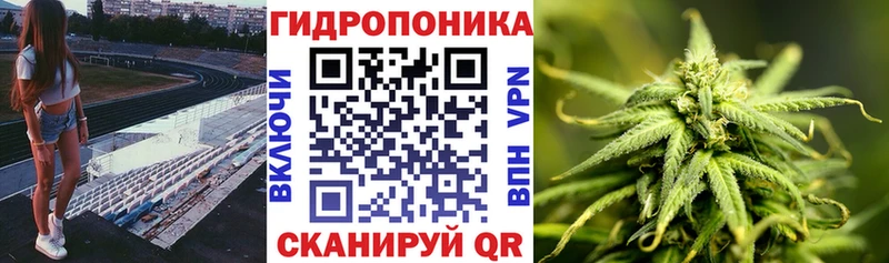 гидра как войти  Дегтярск  Канабис тримм 